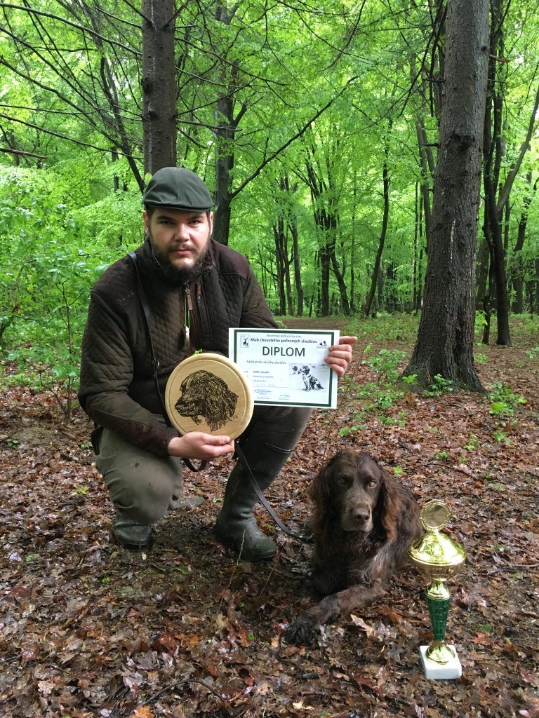 JIMMY Any-Bon (nemecký prepeličiar); Víťaz klubových FD; maj. Jakub Fuchs